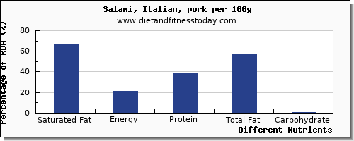 chart to show highest saturated fat in salami per 100g